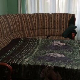 Аренда 1-комн квартиры на вторичном рынке Тушинский 2-й проезд,  д. 8