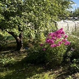 Продажа дома Восход садоводческий массив, 3-я линия, д. 60 Продажа дома Восход садоводческий массив, 3-я линия, д. 60