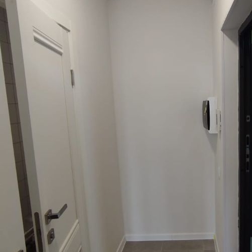 Студия пос. Шушары, проспект Старорусский, 5к2