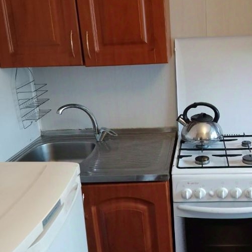 1-комн квартира д. Разметелево, 8