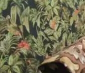 Продать Комнаты в квартирах Витебская улица, 27   