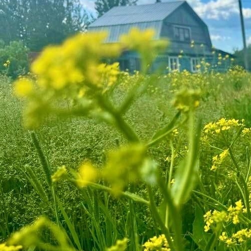 Коттедж/дом д. Чеголи, улица Центральная, 55