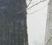 Продать Квартиры вторичка Керченская улица, 11К2   