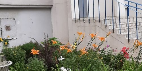 3-комн квартира Псковская улица, 9К2