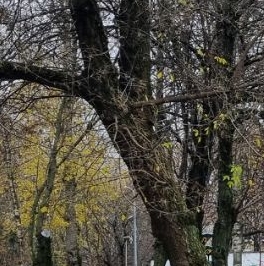 Аренда 1-комн квартиры на вторичном рынке Дорожная улица, 24К3 Аренда 1-комн квартиры на вторичном рынке Дорожная улица, 24К3