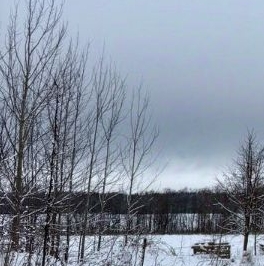 Продажа земли д. Истинка, улица Ореховая Горка, 39 Продажа земли д. Истинка, улица Ореховая Горка, 39