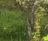 Продать Земельные участки, земля Рахья СНТ, 37   