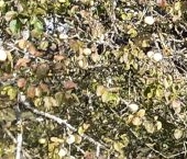 Продать Дачи, коттеджи, загородные дома пос. При железнодорожной станции Веймарн, улица Вокзальная, 1   