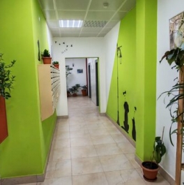 Продажа 1-комн квартиры на вторичном рынке Ивантеевка г, Хлебозаводская ул,  д. 28,  к. 2