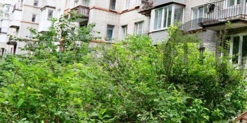 2-комн квартира проспект Тореза, 102К5