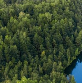 Продажа земли Разметелево кп, д. Разметелево, 142