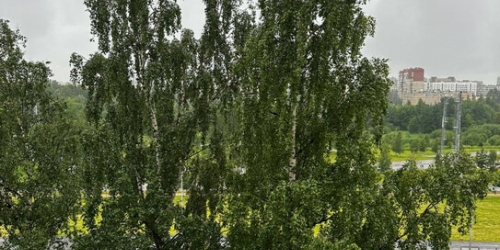 2-комн квартира Луначарского пр-кт,  д. 110