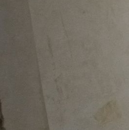 Продажа 1-комн квартиры на вторичном рынке Тосно г., улица Максима Горького, 2