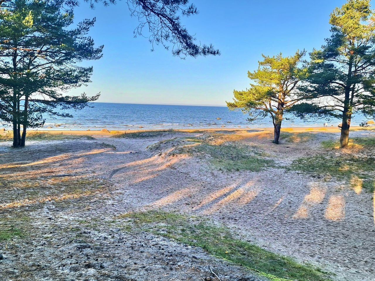 Продажа дома Сосновый Бор, проезд Корабельный