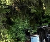 Продать Квартиры вторичка Серпухов, улица Чехова, 81а   