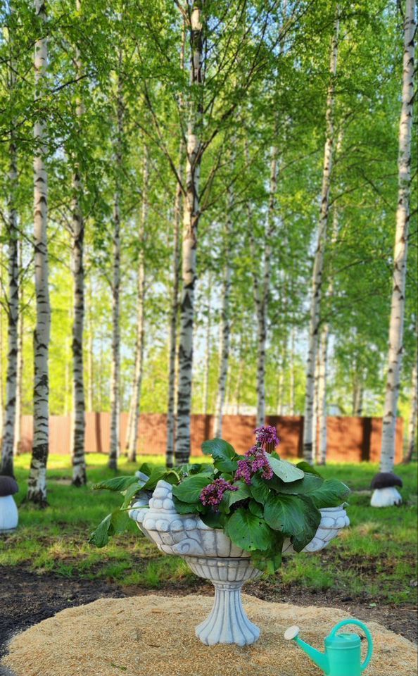 Продажа дома пос. Прибылово, проезд Лебединый, 2