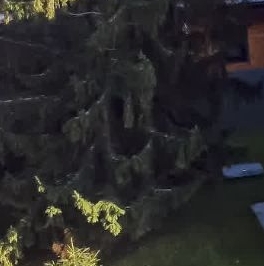 Продажа дома пос. Левашово, Высоцкая улица, 13 Продажа дома пос. Левашово, Высоцкая улица, 13