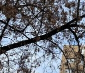 Продать Квартиры вторичка 1-я Аэропортовская улица, 6   