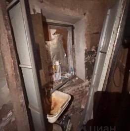Продажа офиса Пушкарская Б. ул,  д. 24