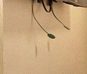 Продать Квартиры вторичка улица Константина Федина, 2К1   