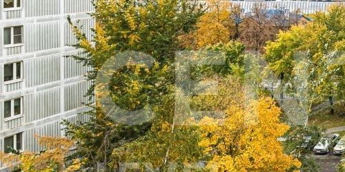 2-комн квартира Севанская улица, 23