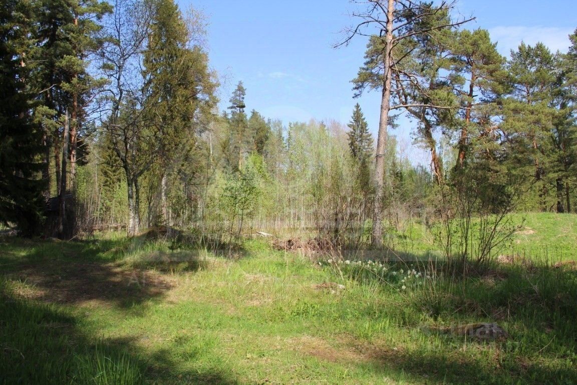 Продажа земли пос. Бригадное, улица Крестьянская, 41
