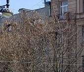 Продать Квартиры вторичка 14-я Васильевского острова линия, 11/38   