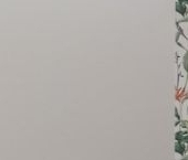 Сдать в аренду Квартиры вторичка переулок Макаренко, 11   