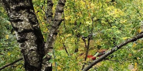 2-комн квартира 3-я Парковая улица, 36К4