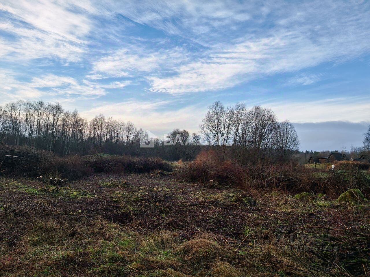 Продажа земли пос. Пушное, проезд Лесные Покосы