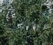 Продать Квартиры вторичка Форносово городской поселок, улица Советская, 8   