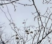 Продать Квартиры вторичка 2-й Спасоналивковский переулок, 16   