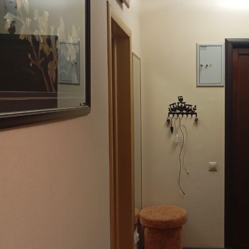 1-комн квартира Лобня, улица Физкультурная, 14