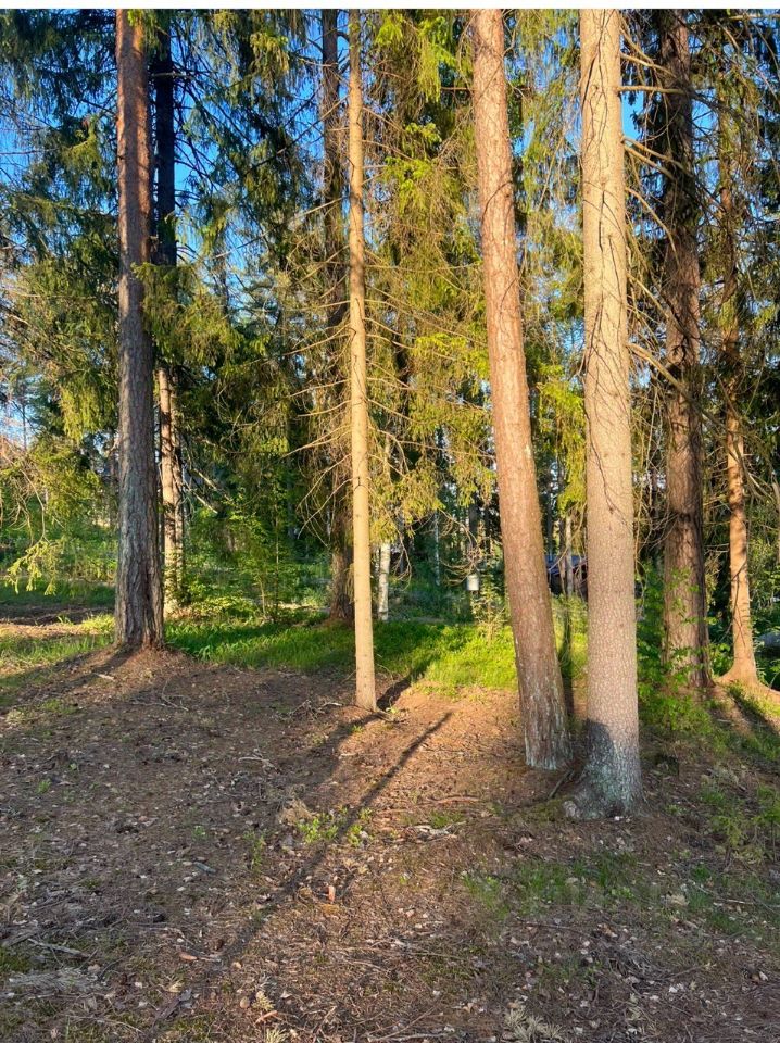 Продажа земли Алые Паруса кп, пос. Пески, проезд 6-й Парусный