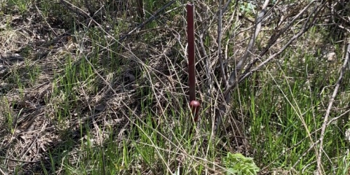 Земельный участок Большая Ижора пос., Полевая ул.