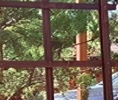 Продать Дачи, коттеджи, загородные дома Павловск, Павловское-1 СНТ, 12-я линия   