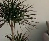 Сдать в аренду Квартиры вторичка Инженерная улица, 9   