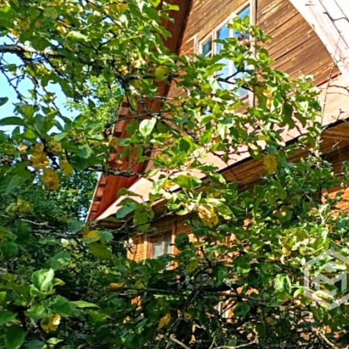 Коттедж/дом Пупышево садоводческий массив, Природа СНТ, аллея 2-я