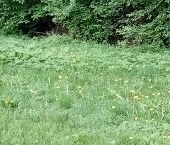 Продать Земельные участки, земля Ключи СНТ   