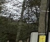 Продать Земельные участки, земля пос. Первомайское, переулок Еловый   