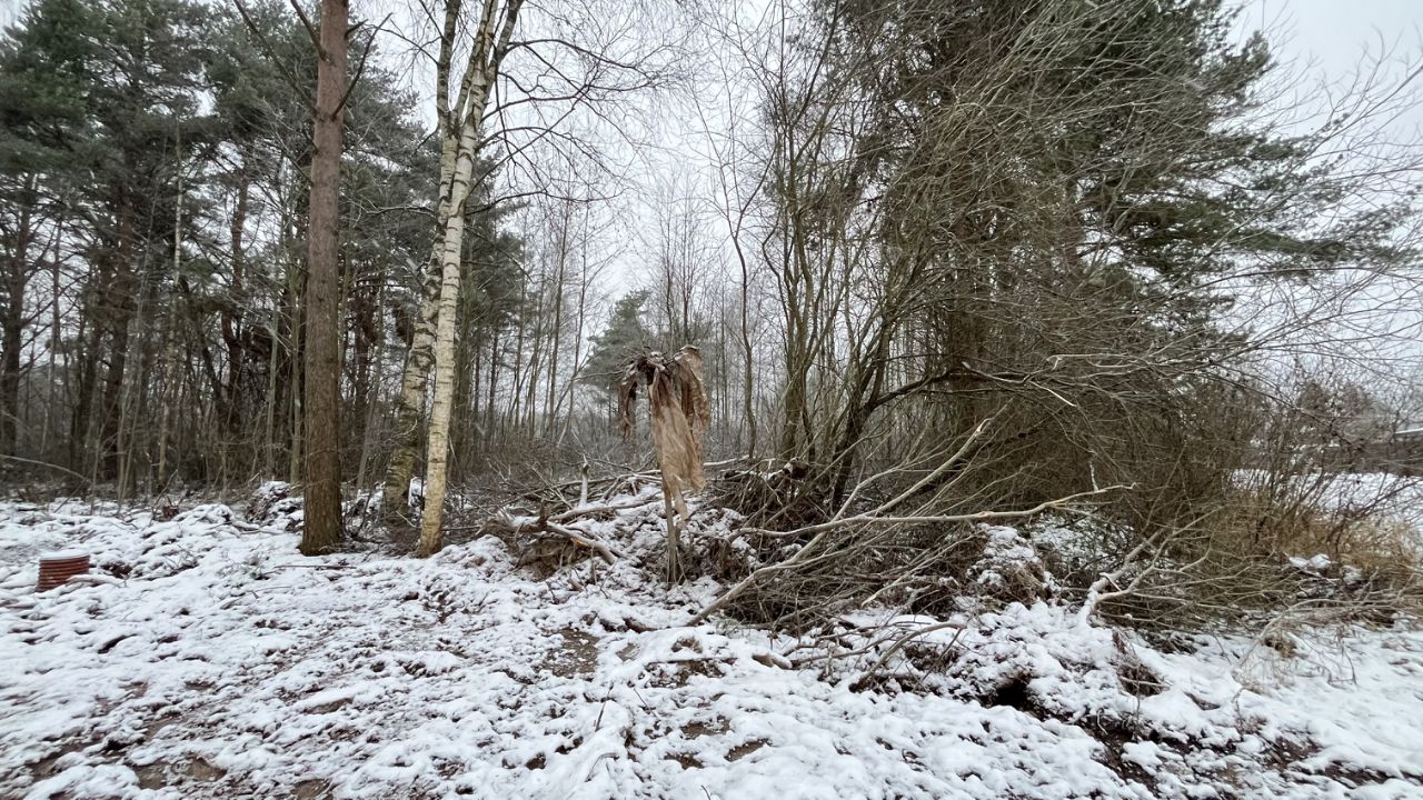 Продажа земли Зеленый квартал кп, Шлиссельбург