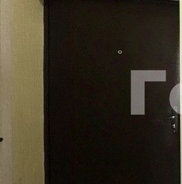 Продажа 1-комн квартиры на вторичном рынке Путилково пгт, улица Новотушинская, 3