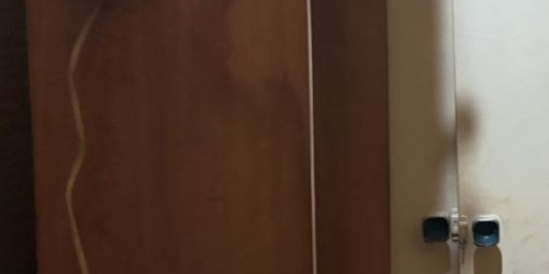 2-комн квартира Пушкин, Артиллерийская улица, 6