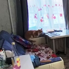 Продажа 1-комн квартиры на вторичном рынке пос. Войсковицы, площадь Манина, 4