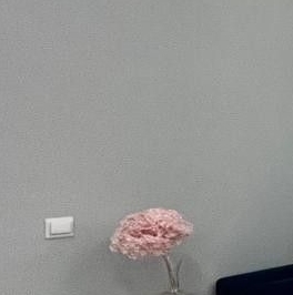 Продажа 2-комн квартиры на вторичном рынке Новолитовская улица, д. 12 Продажа 2-комн квартиры на вторичном рынке Новолитовская улица, д. 12