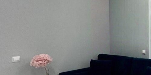 2-комн квартира Новолитовская улица, 12