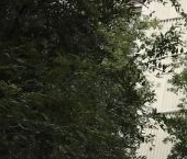 Продать Квартиры вторичка Филевский бульвар, 9   