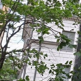 Продажа 2-комн квартиры на вторичном рынке Зеленогорская улица, 3 Продажа 2-комн квартиры на вторичном рынке Зеленогорская улица, 3