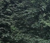 Продать Квартиры вторичка Днепропетровская улица, 31   