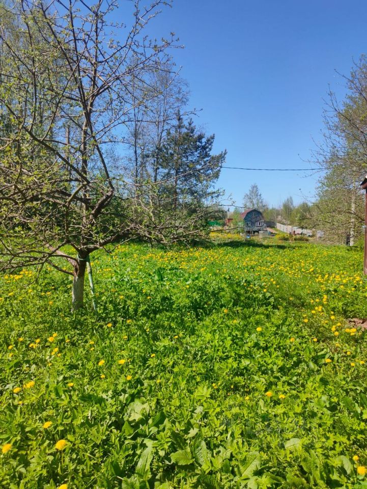 Продажа земли пос. Петро-Славянка, Красноармейское СНТ, 66